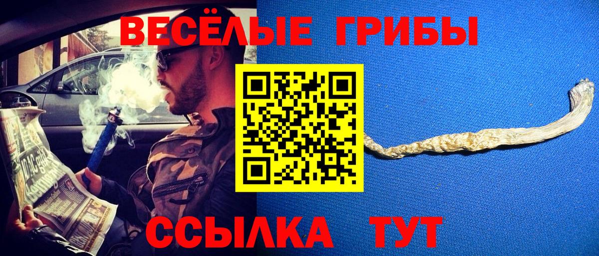 Псилоцибиновые грибы ЛСД  Вход с VPN  Ахтубинск 